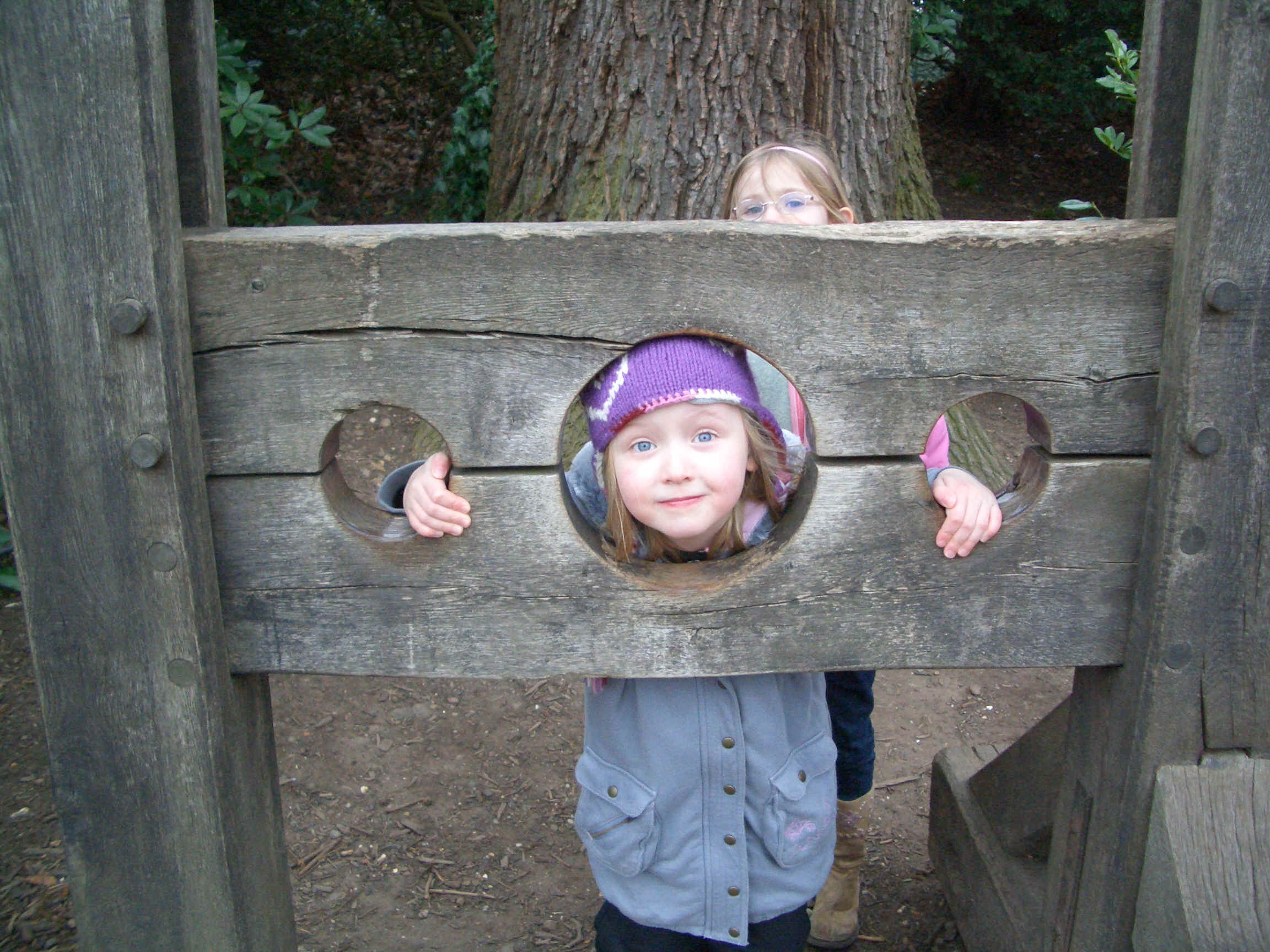 in the stocks!