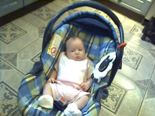 image002.jpg (84209 bytes)