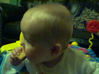 image010.jpg (87529 bytes)